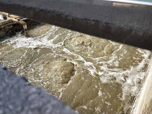 污水處理現(xiàn)場