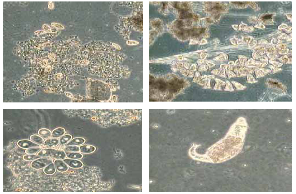 安峰環(huán)保.png 安峰環(huán)保.png